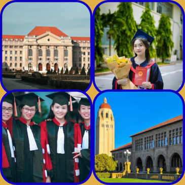 COLLEGES / EDUCATIONAL INSTITUTE/ SCHOOLS