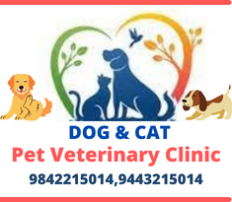 Pet Veterinary Clinic